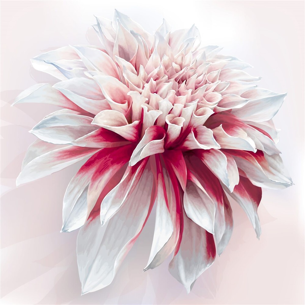 Last Product image