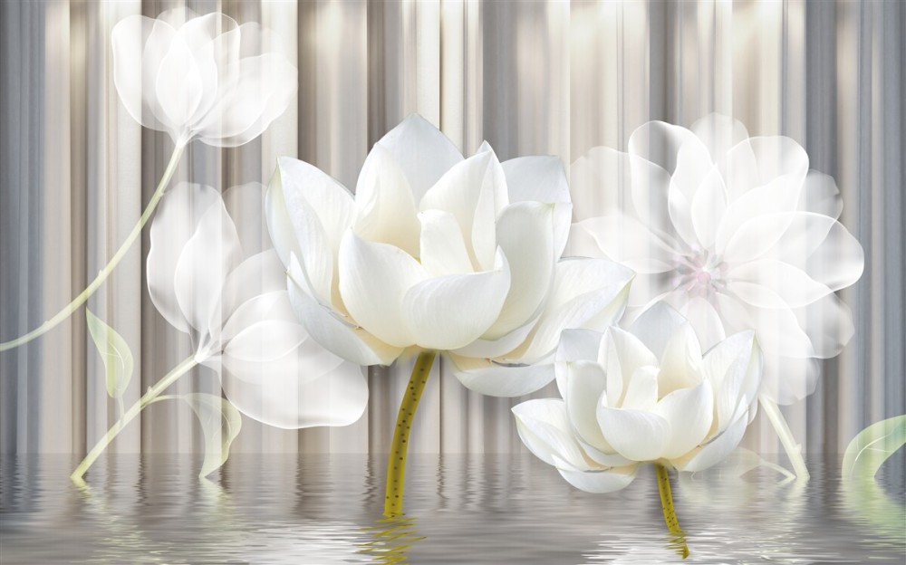Last Product image