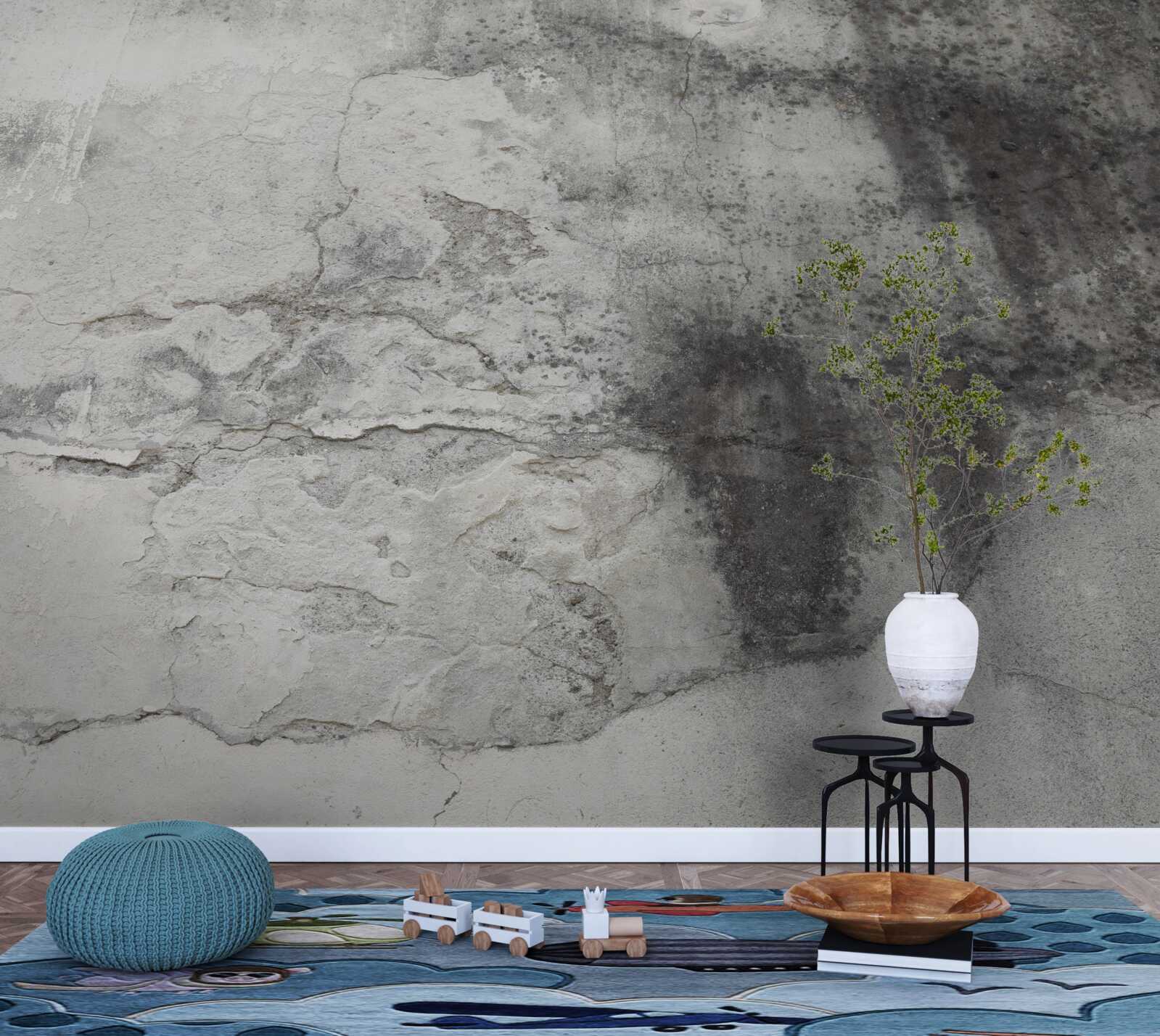 Fototapeta struktura w odcieniach popiołu