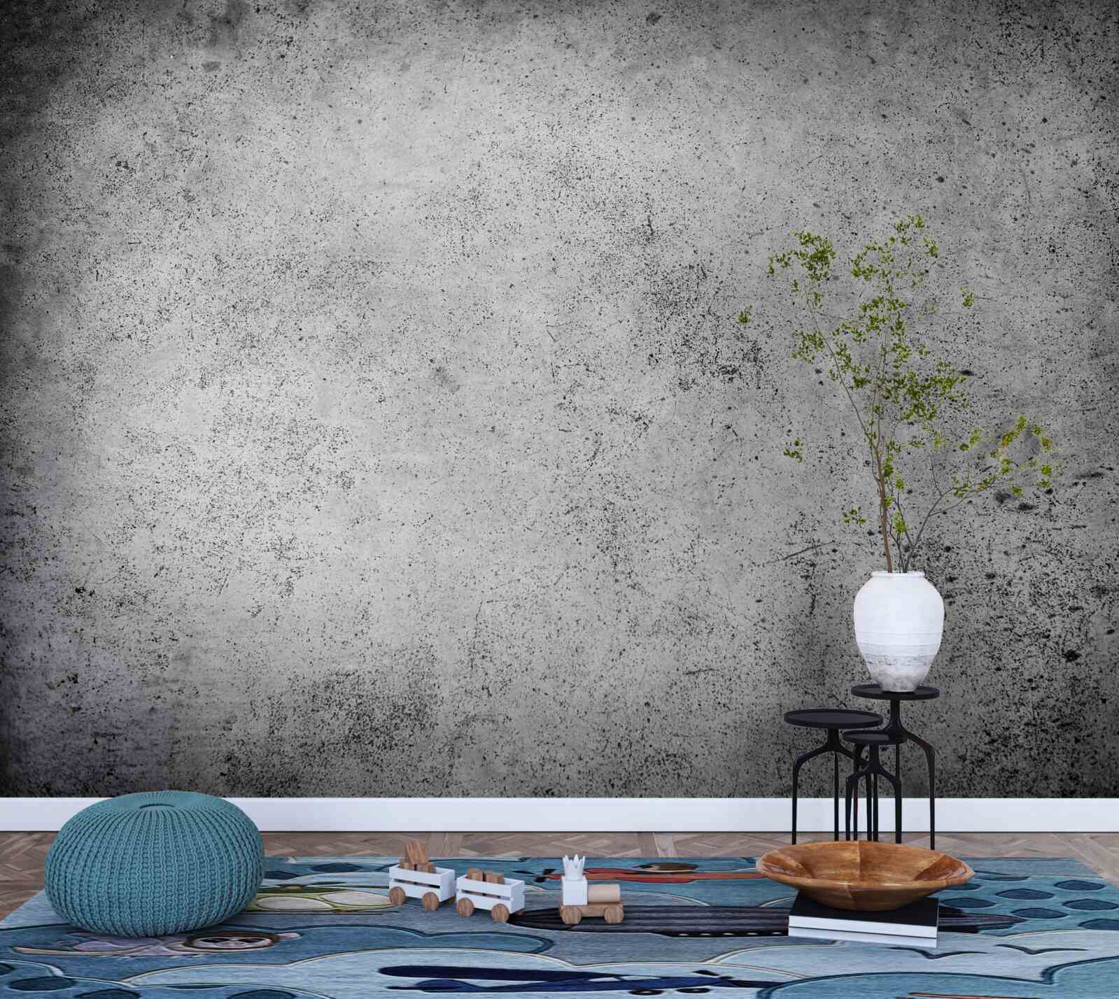 Fototapeta starożytna szara bariera