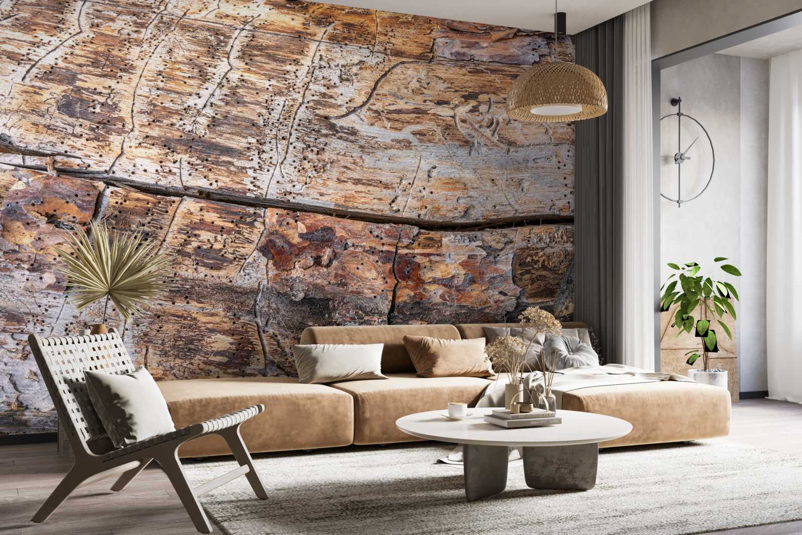 Fototapeta struktura gnijącego materiału drzewnego