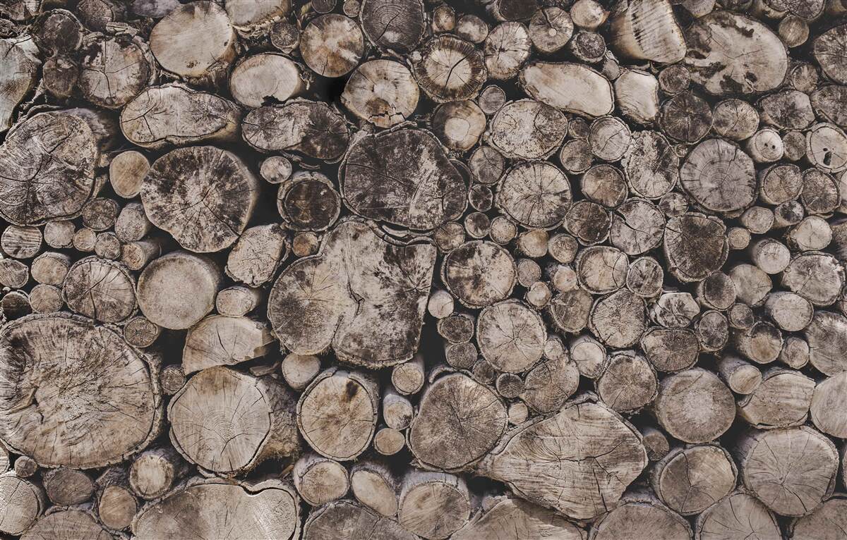 Fototapeta nieczyste kawałki drewna