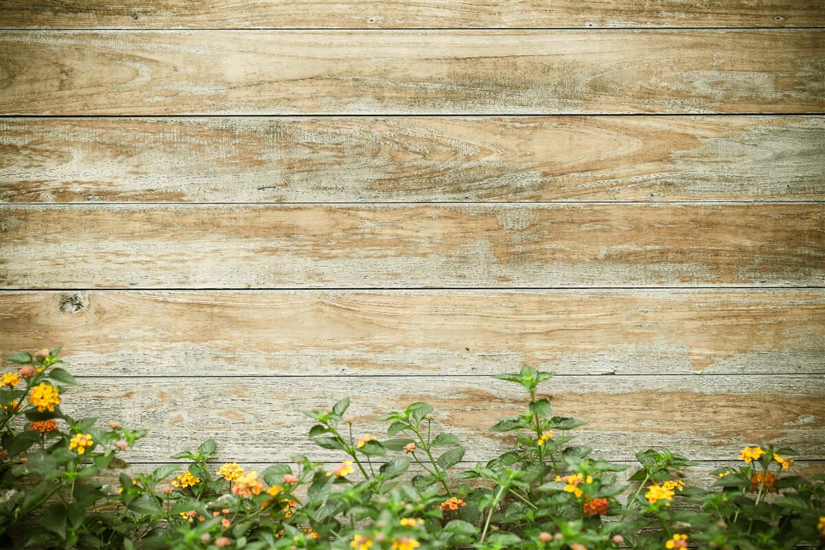 Fototapeta na tle parkietu w otoczeniu zieleni widnieją żółte kwiaty