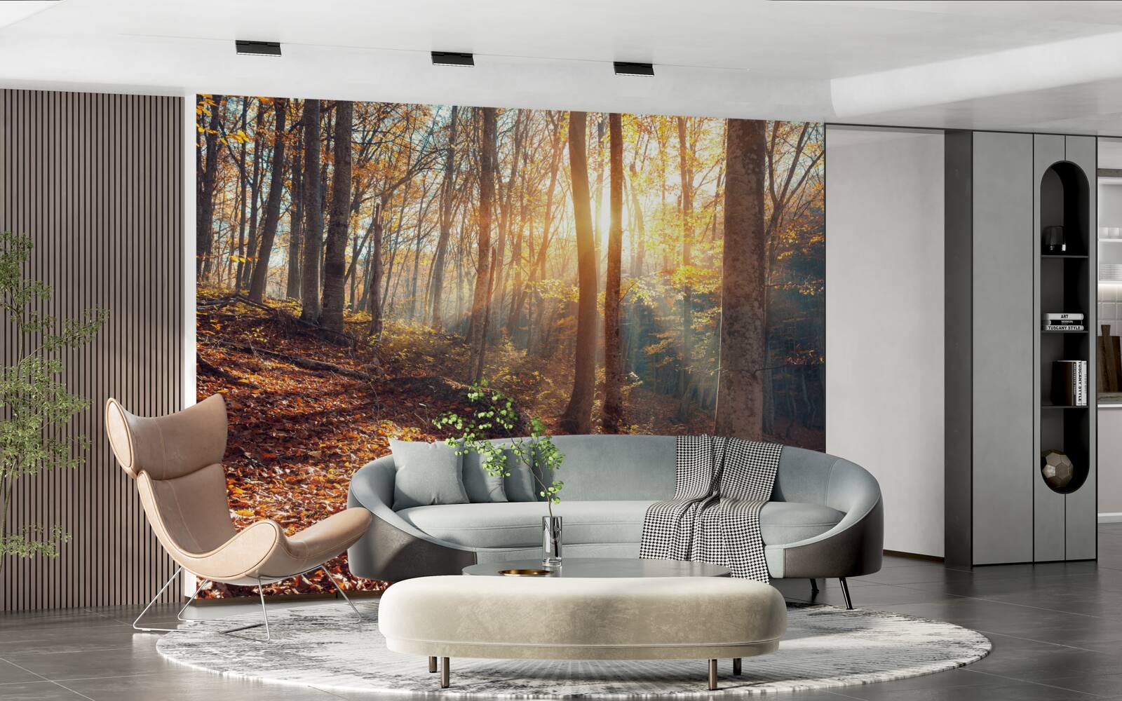 Fototapeta poranny las spowity mgłą doświadcza ciepła słońca