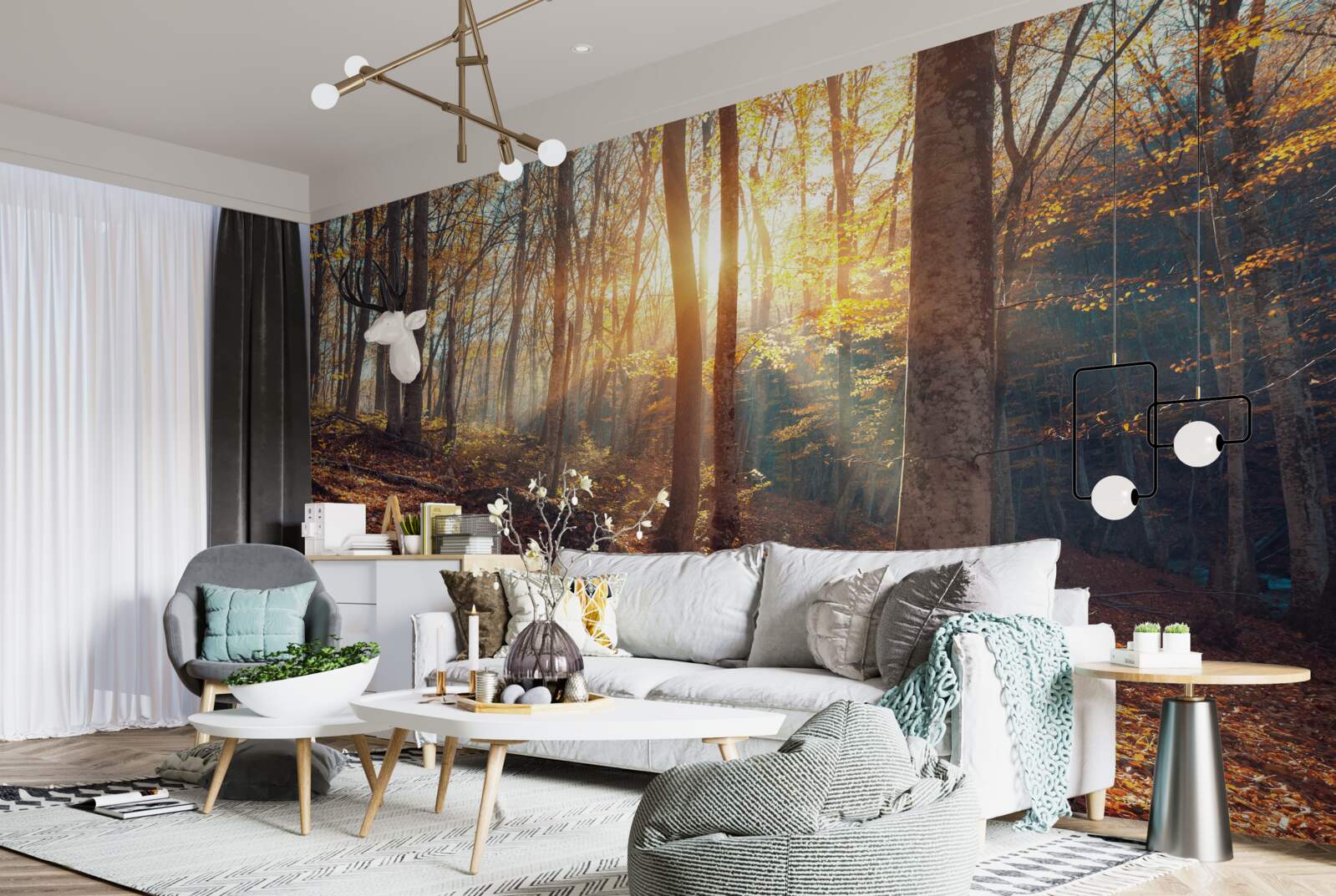 Fototapeta poranny las spowity mgłą doświadcza ciepła słońca