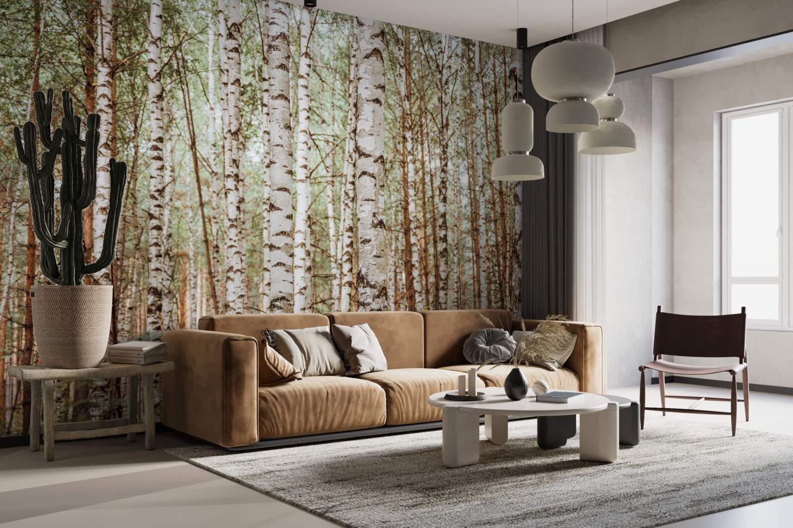 Fototapeta brzozy sledryny stoją w zielonym lesie