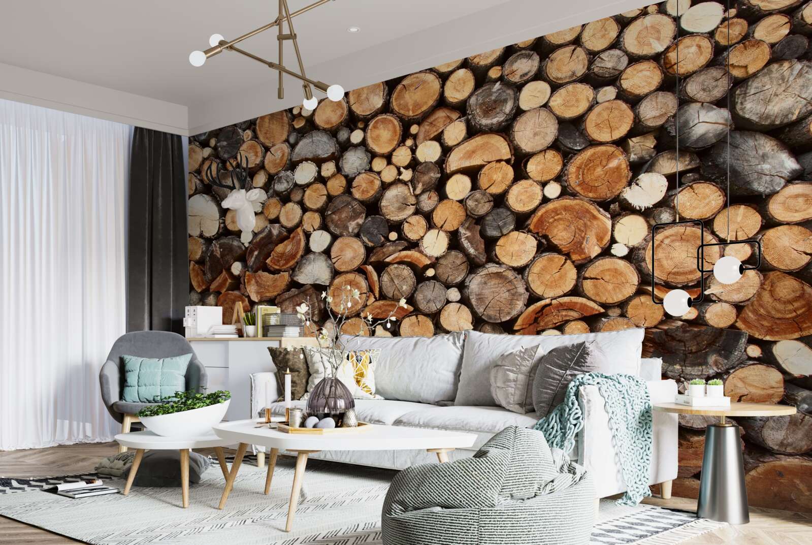 Fototapeta plasterki drzew w różnych kolorach