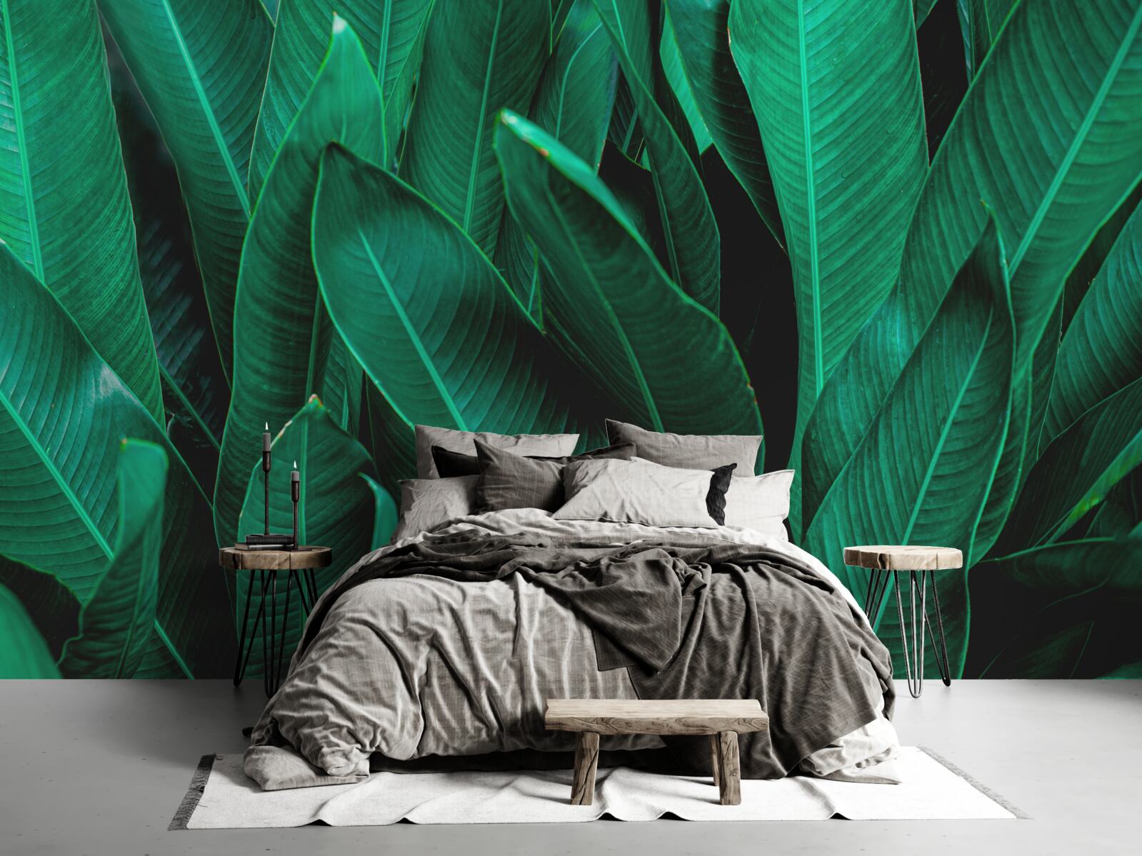 Fototapeta paproć o jasnym szmaragdowym odcieniu