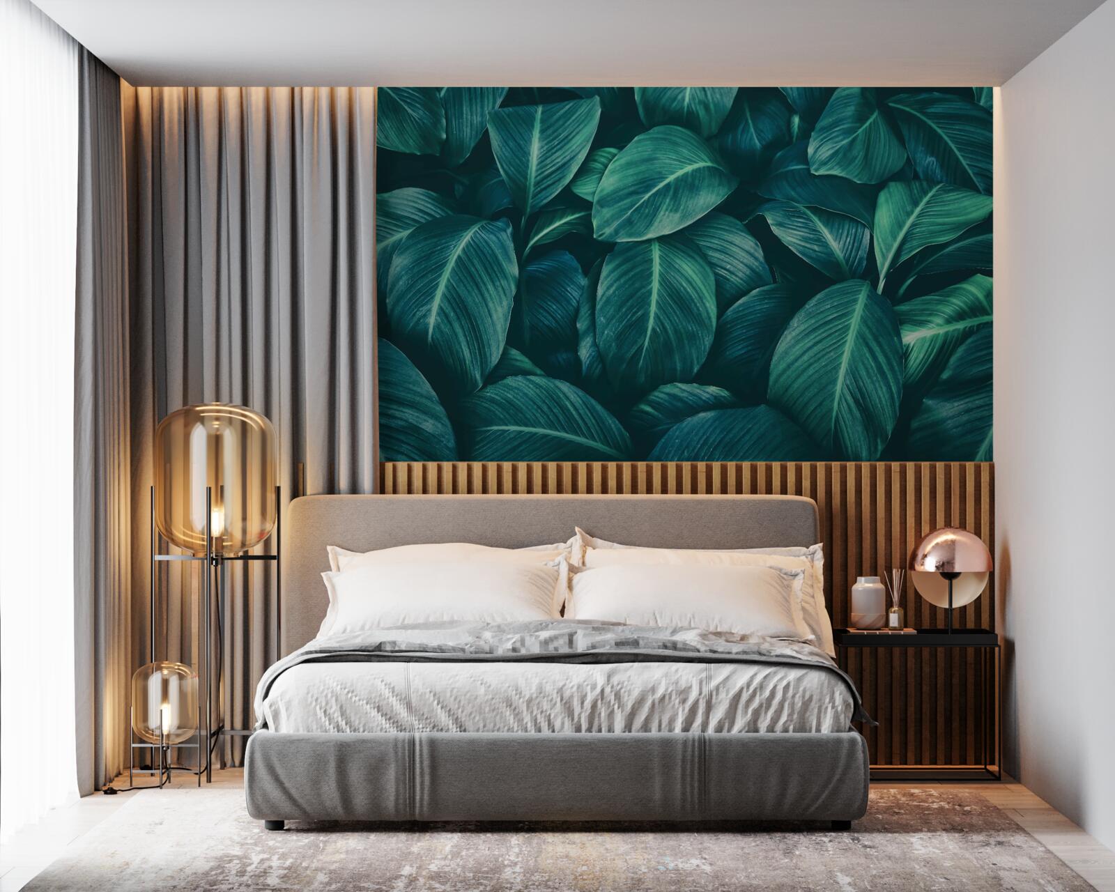 Fototapeta liście paproci mają wspaniały szmaragdowy kolor