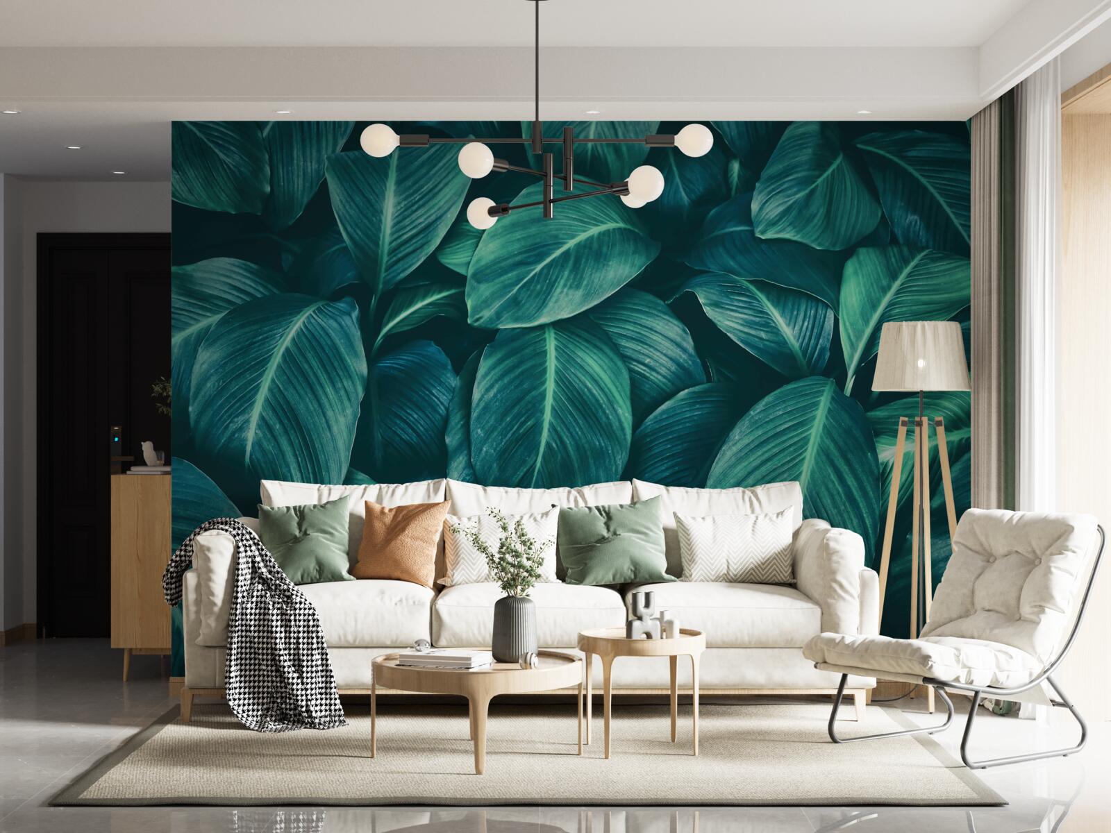 Fototapeta liście paproci mają wspaniały szmaragdowy kolor