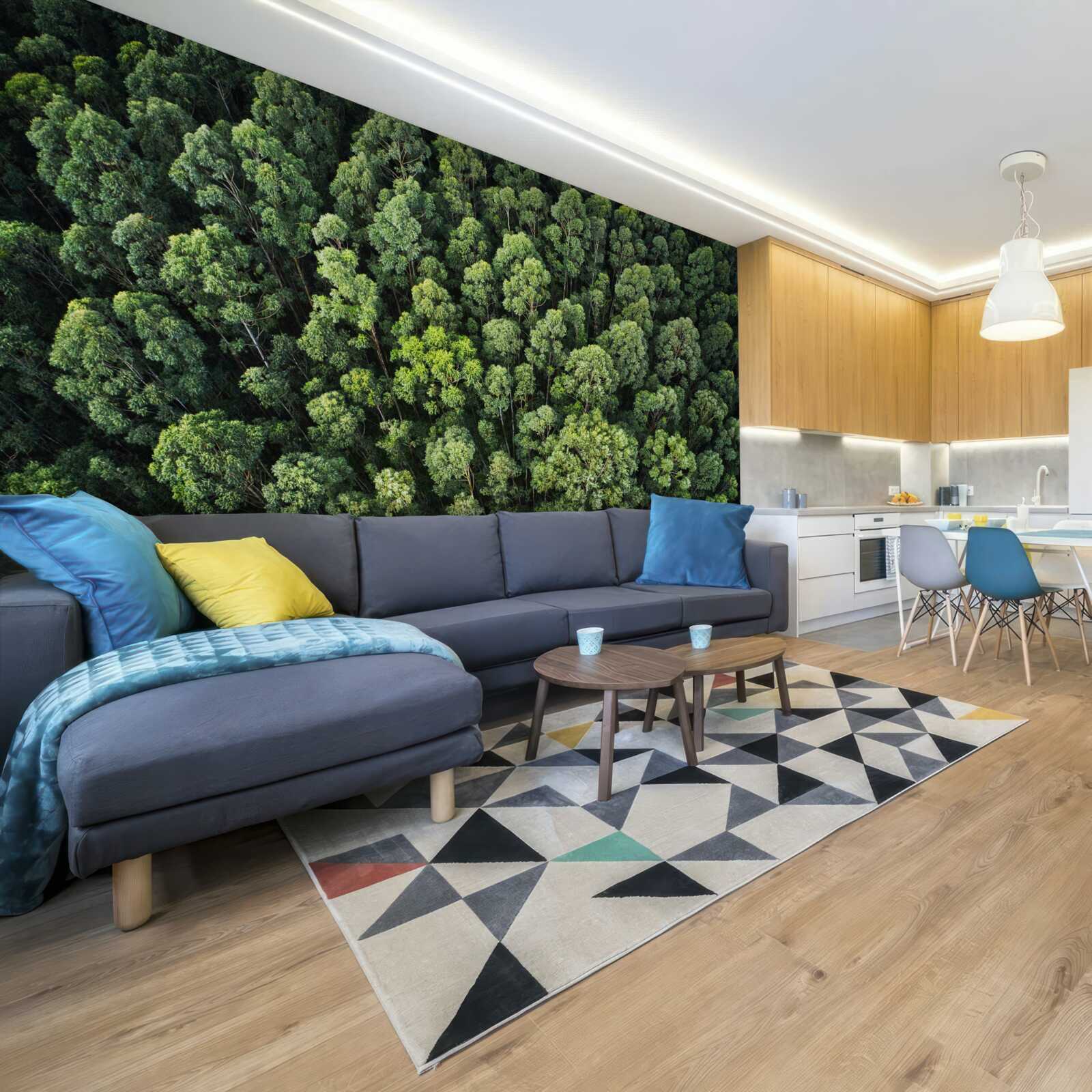 Fototapeta drzewa leśne z zielonymi koronami