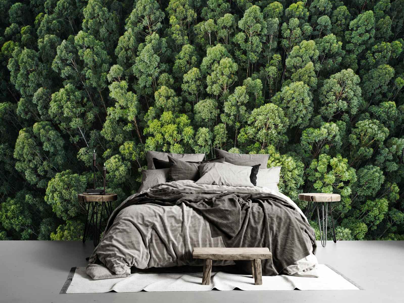 Fototapeta drzewa leśne z zielonymi koronami