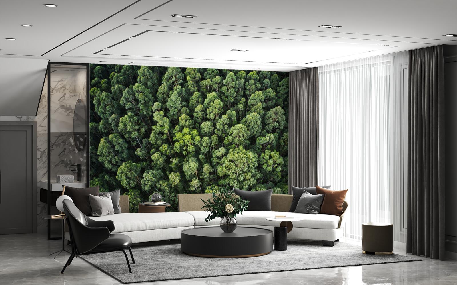 Fototapeta drzewa leśne z zielonymi koronami