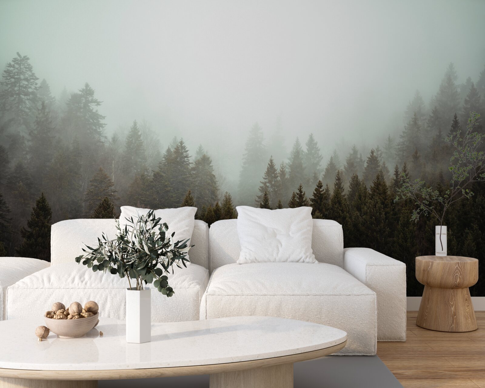 Fototapeta jasny wschód słońca wśród mglistego lasu iglastego