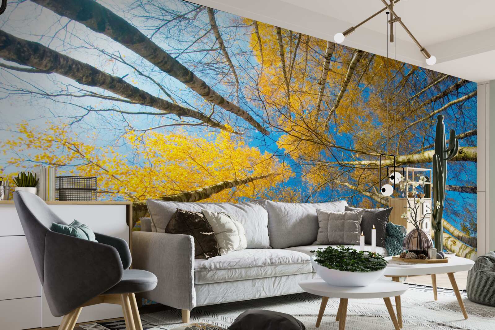 Fototapeta wierzchołki wysokich drzew pomalowane są na żółto