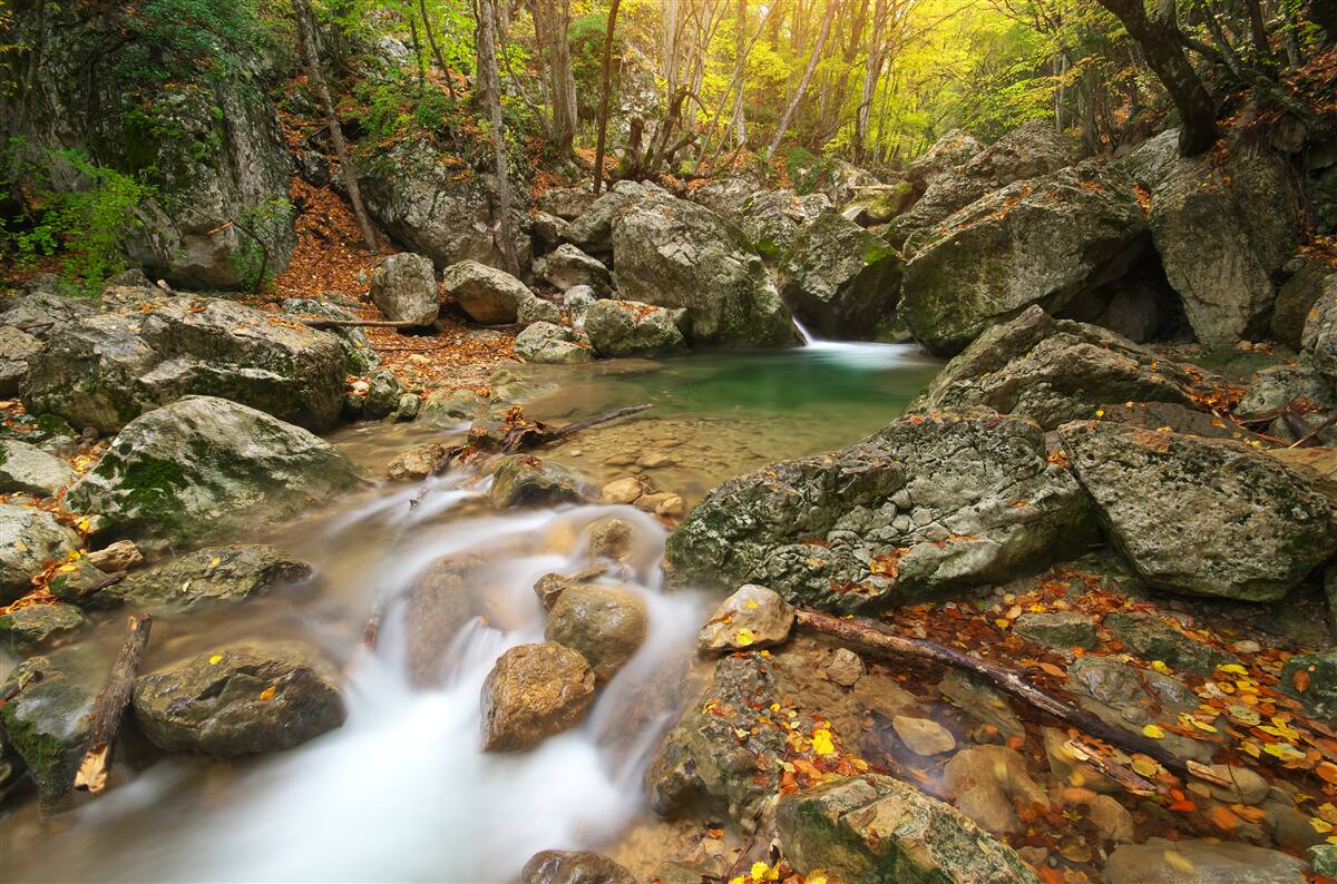 Fototapeta przepływ rzeki jesienią