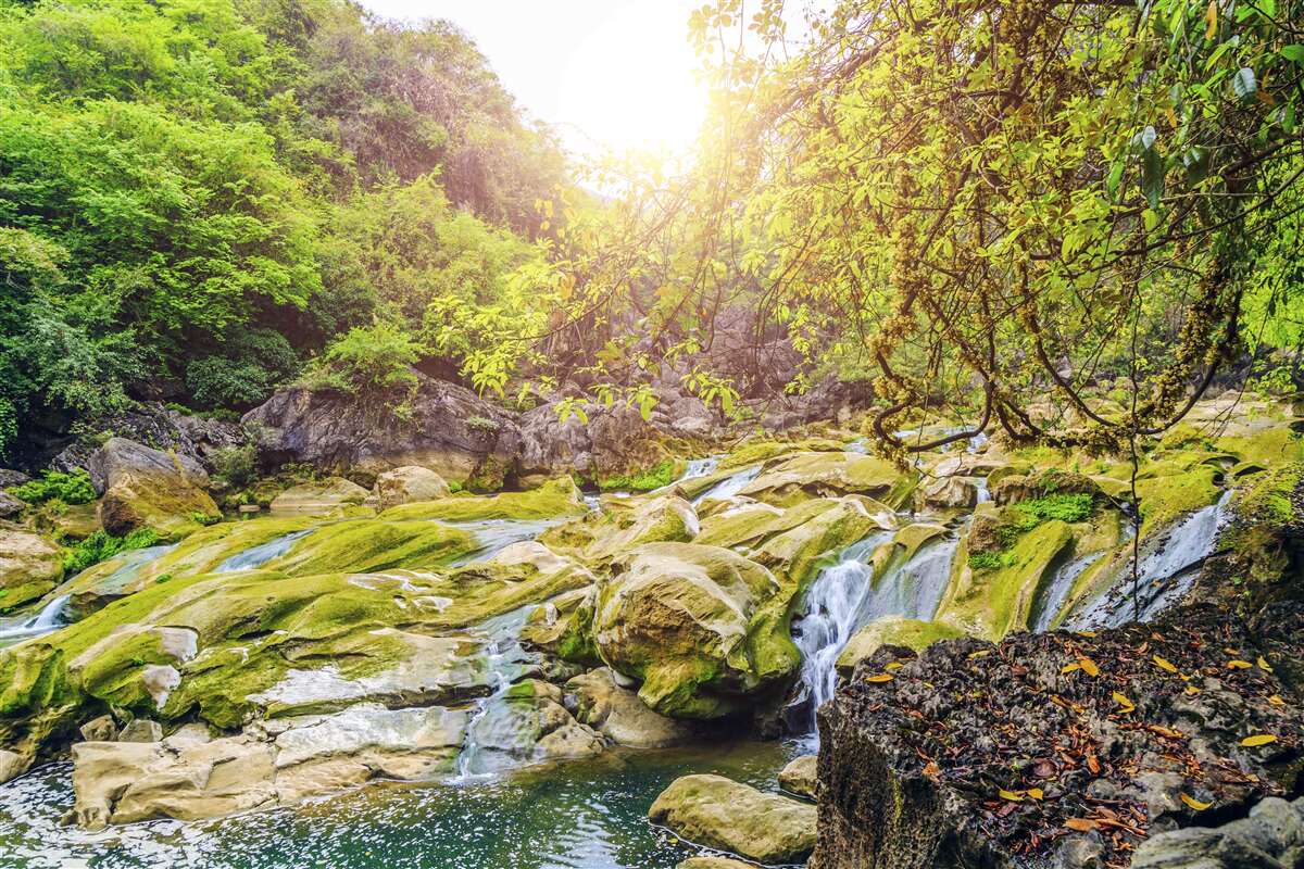 Fototapeta wschód słońca nad rzeką z jej kolorową przyrodą