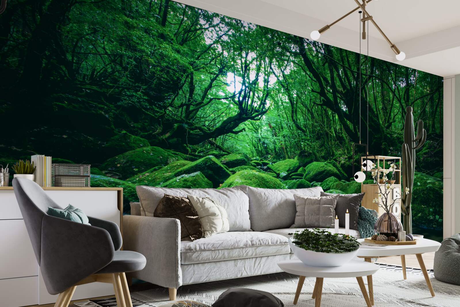 Fototapeta las pogrążony we śnie u podnóża wodospadu