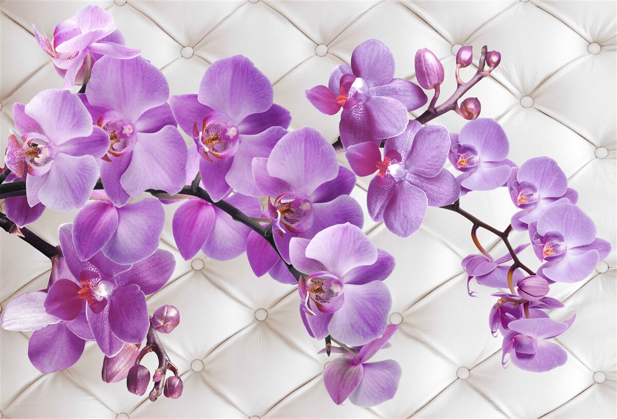 Fototapeta tekstura zawiera gałęzie liliowej orchidei
