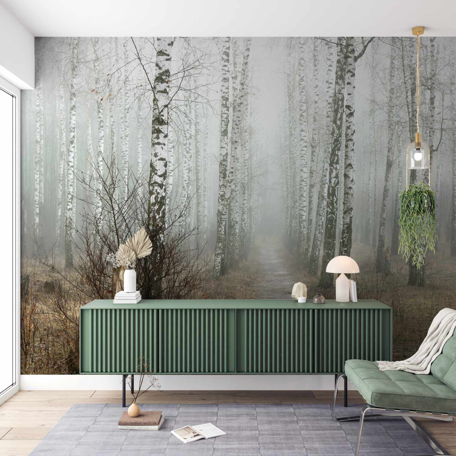 Fototapeta Ścieżka przez zamglony las pełen brzóz