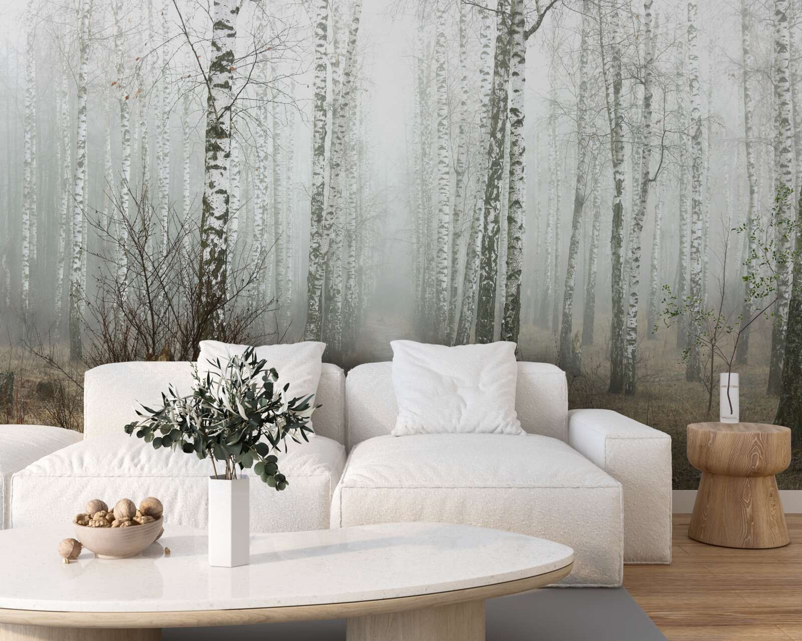 Fototapeta Ścieżka przez zamglony las pełen brzóz