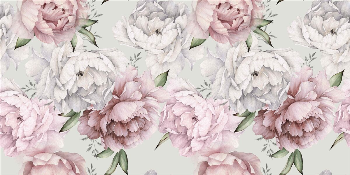 Fototapeta piękne piwonie w odcieniach bieli i różu