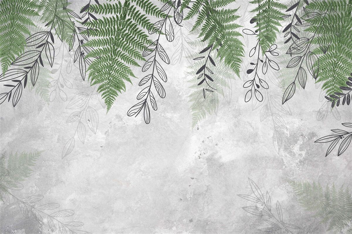 Fototapeta liście paproci w zielonym odcieniu na szarym tle
