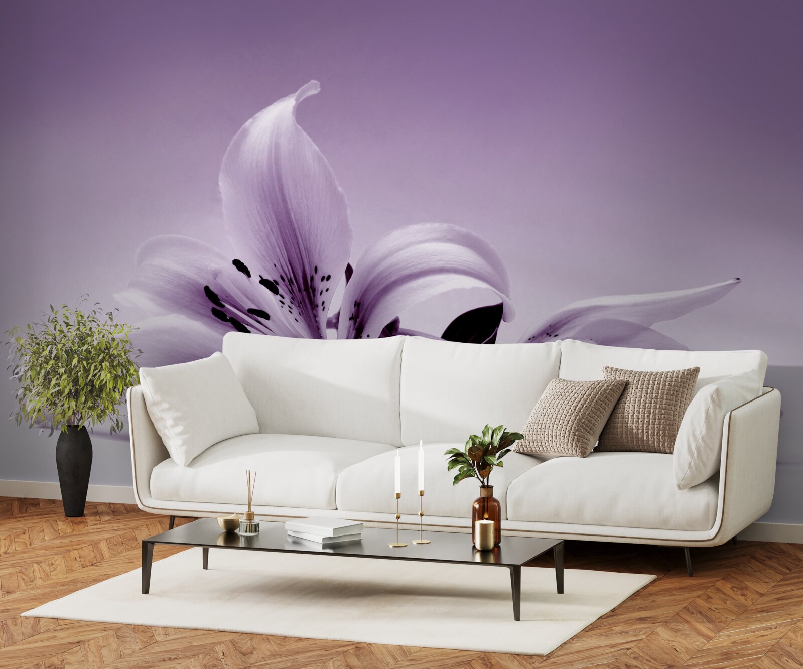 Fototapeta subtelna fioletowa, izolowana lilia