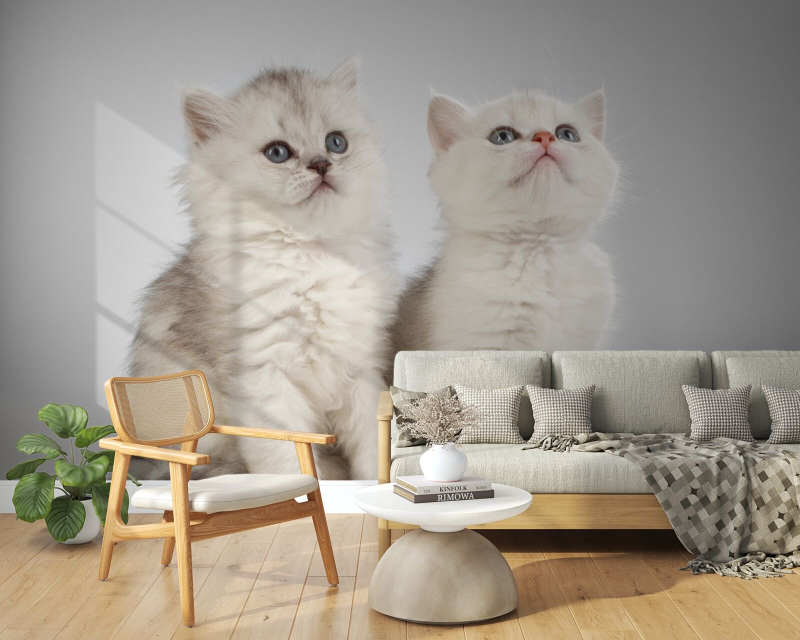 Fototapeta obserwują dwa małe koty