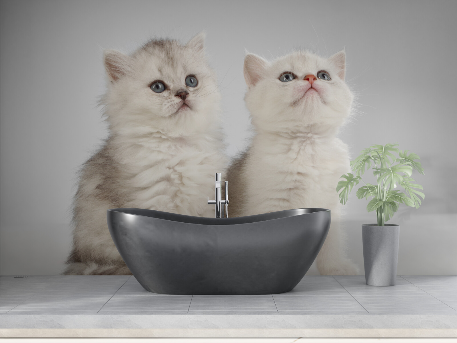 Fototapeta obserwują dwa małe koty