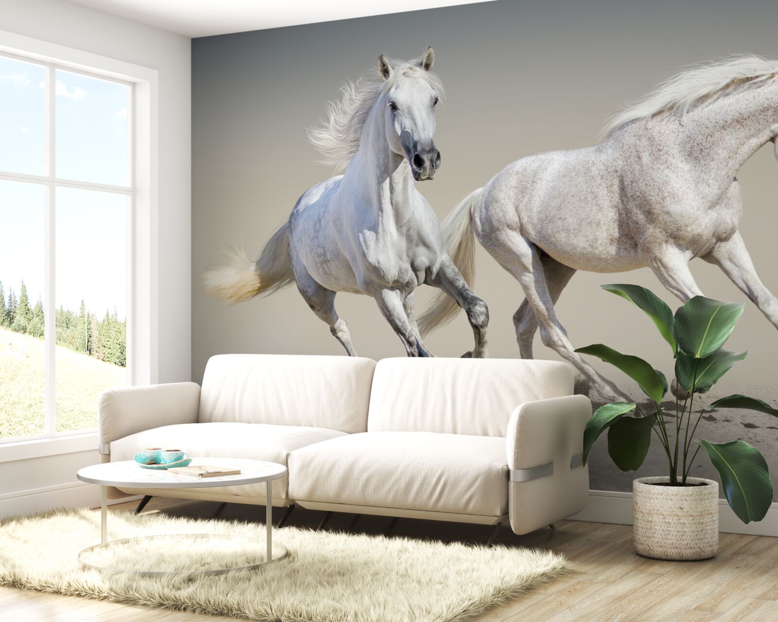 Fototapeta dwa lekkie ogiery ścigają się po piaszczystej powierzchni