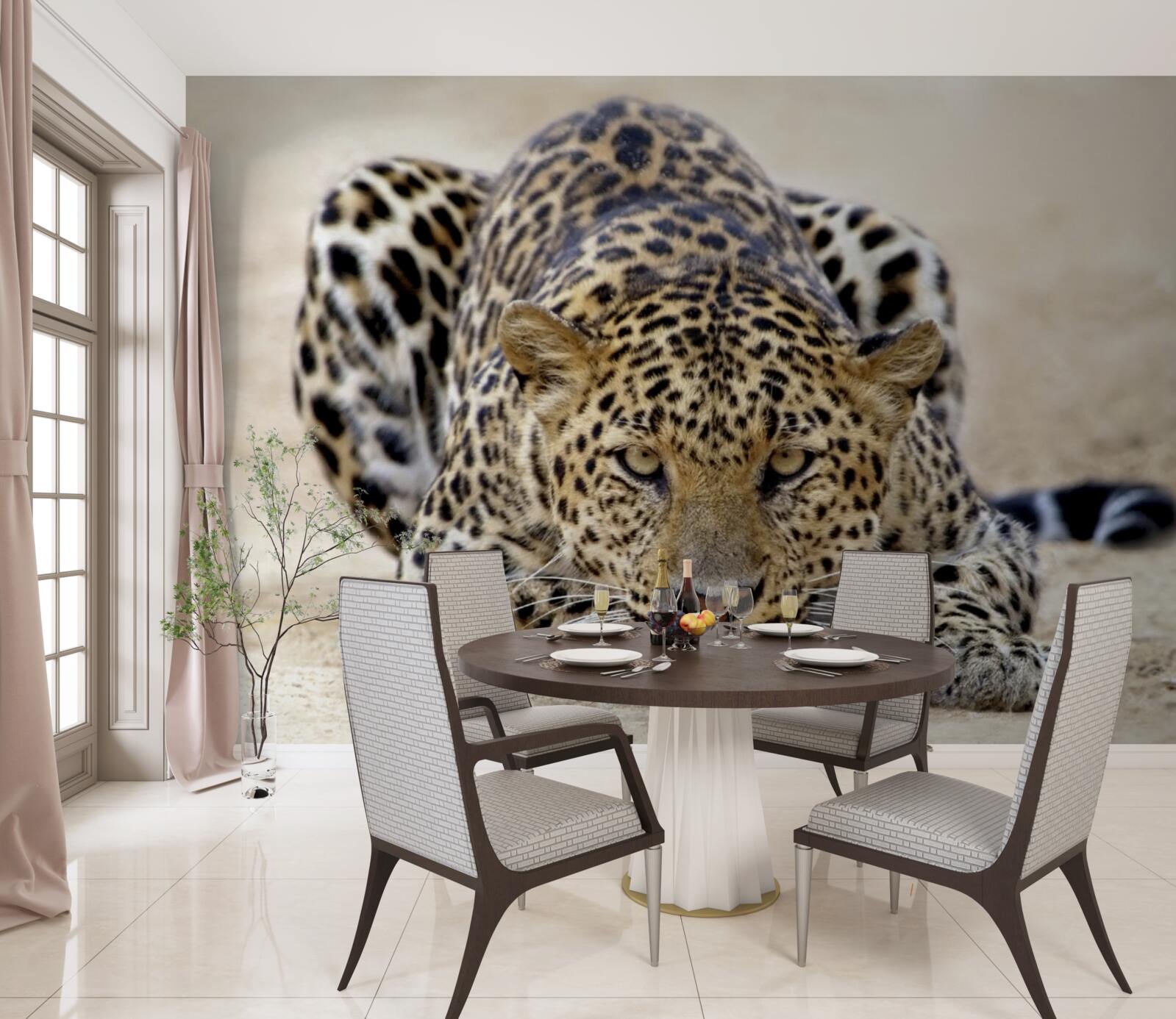 Fototapeta czekający lampart z cętkowaną skórą