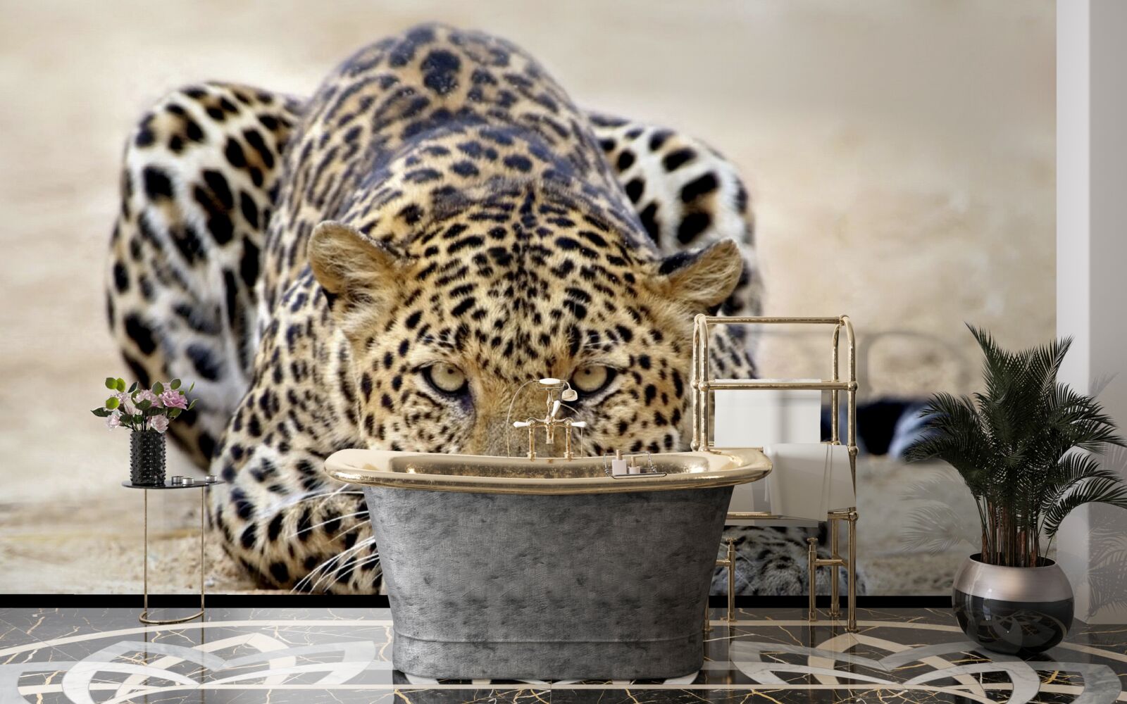 Fototapeta czekający lampart z cętkowaną skórą