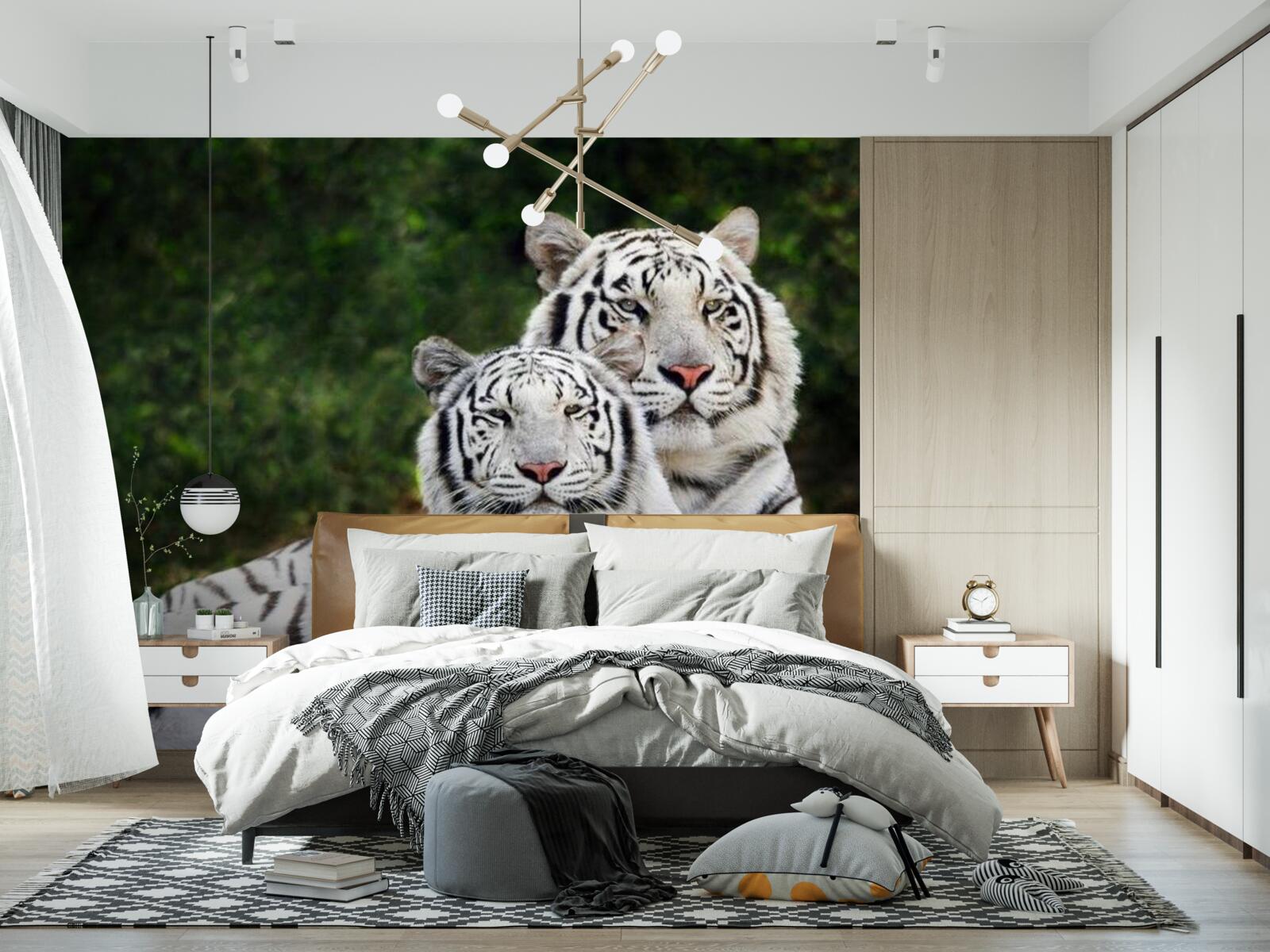 Fototapeta w lesie żyją dwa białe tygrysy, poślubione