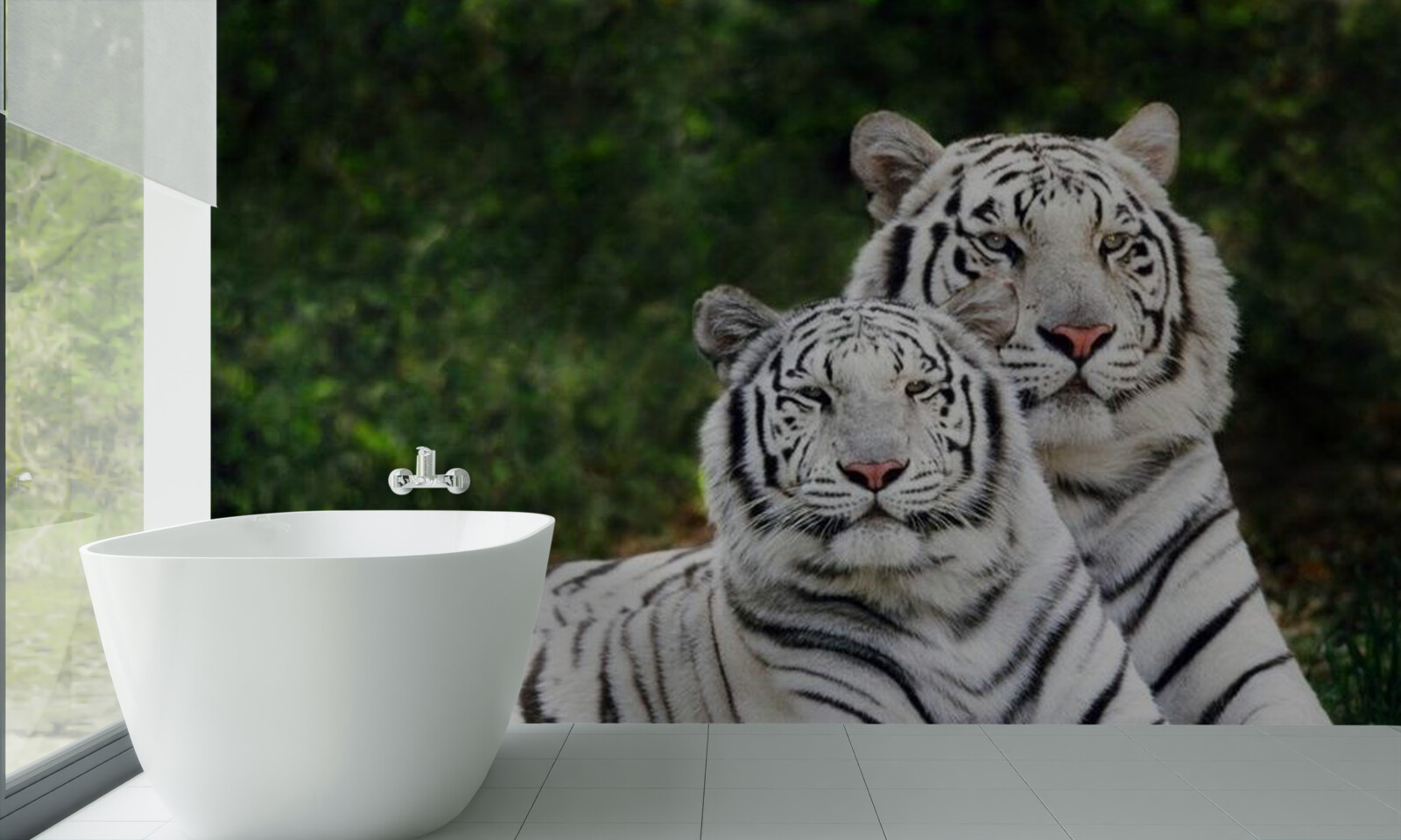 Fototapeta w lesie żyją dwa białe tygrysy, poślubione