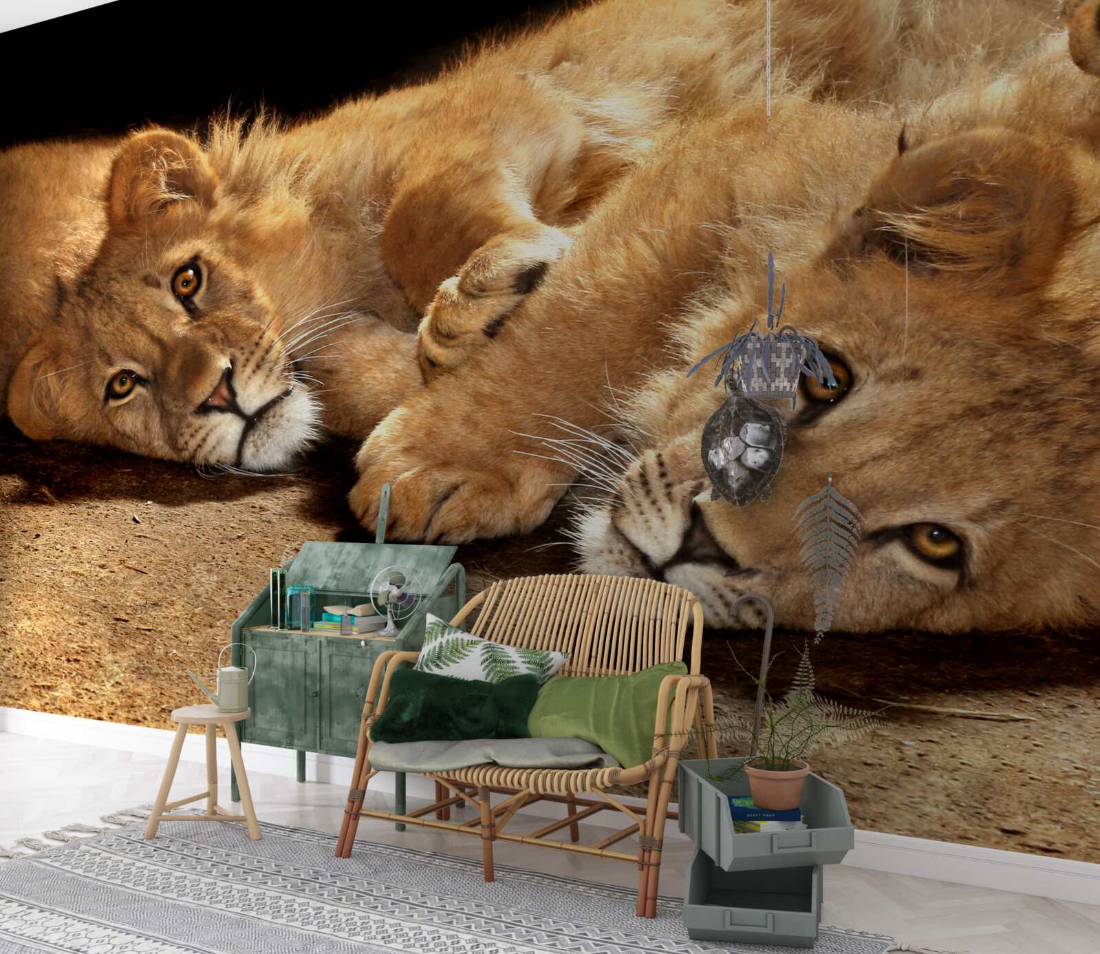 Fototapeta młode lwy bawią się na ziemi