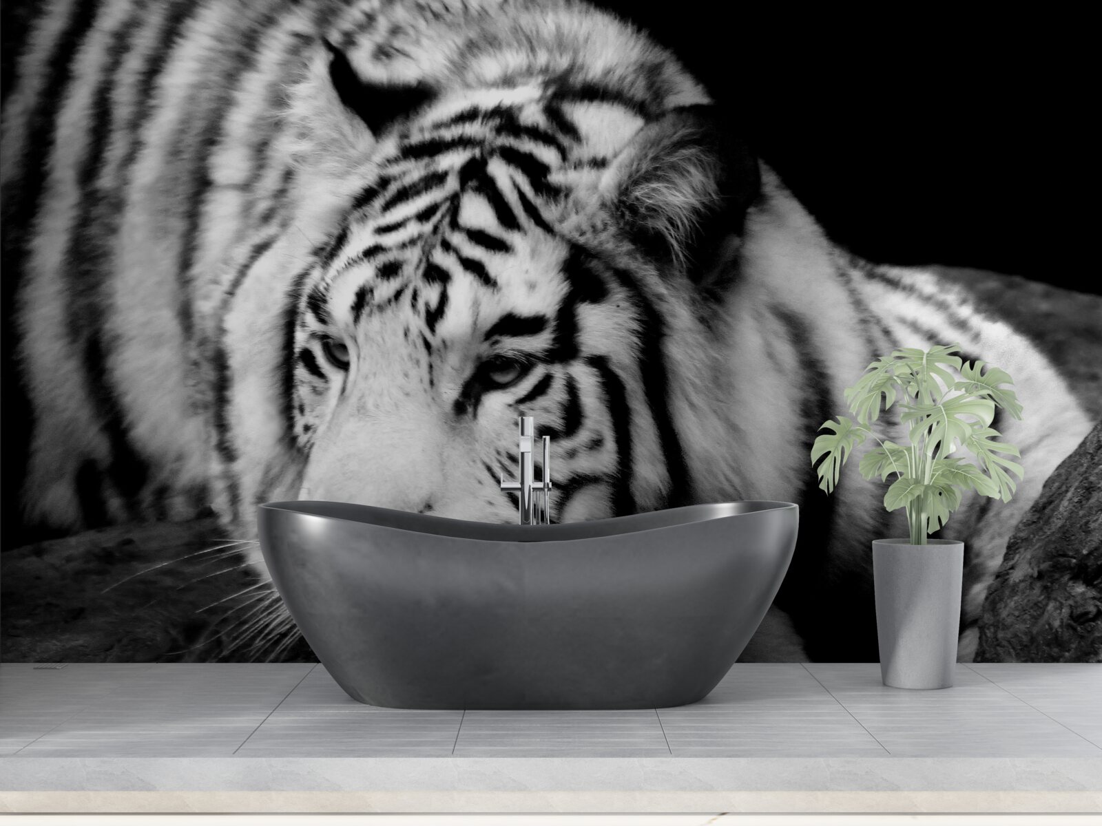 Fototapeta uroczy czarno-biały tygrys