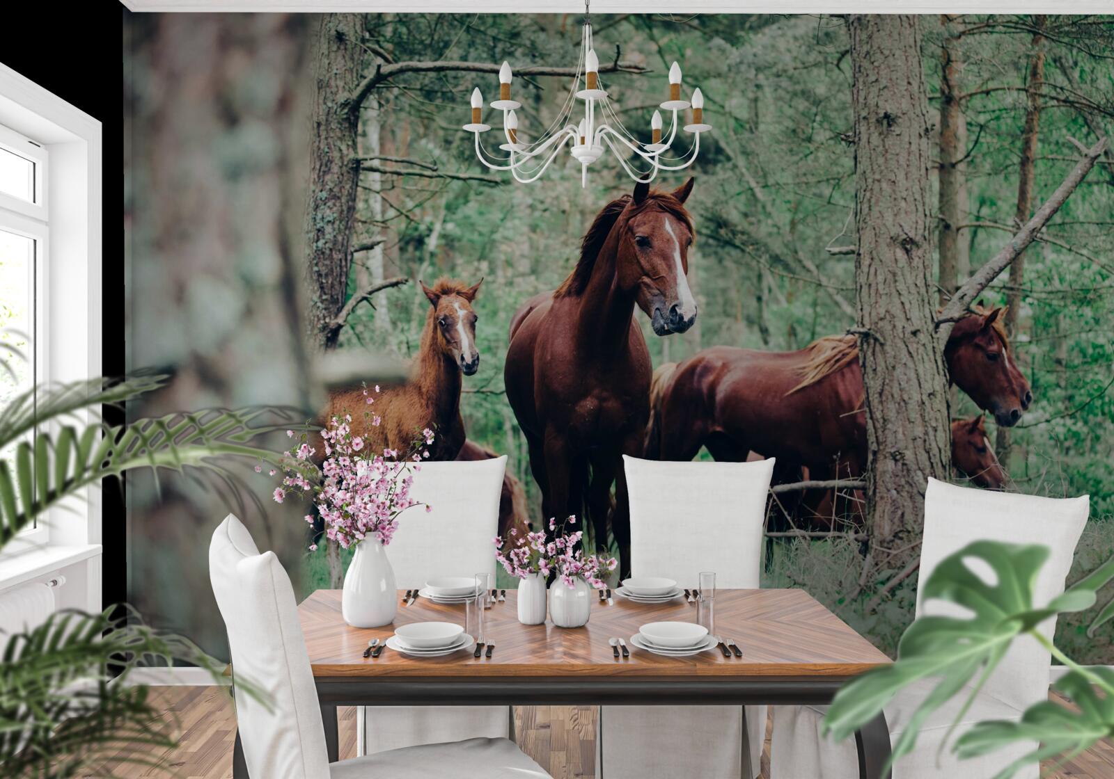 Fototapeta konie spacerują po lesie wiosną