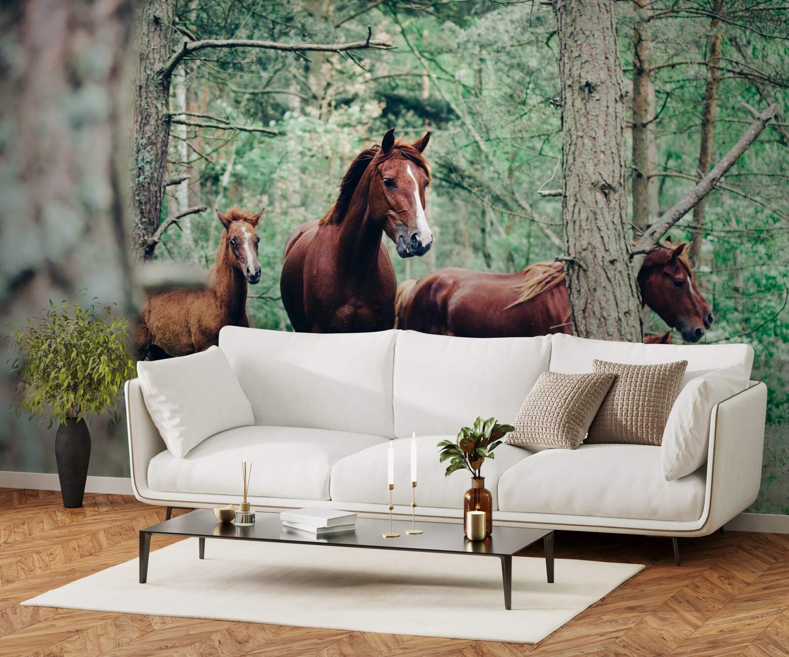Fototapeta konie spacerują po lesie wiosną