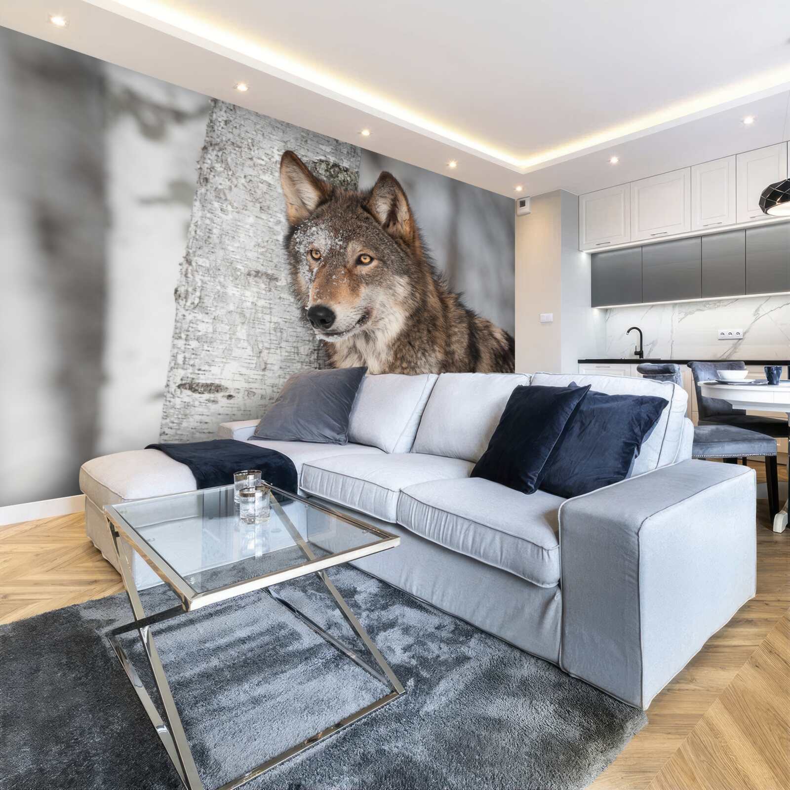 Fototapeta wilk koloru cynamonowego wpadł w zasadzkę obok brzozy