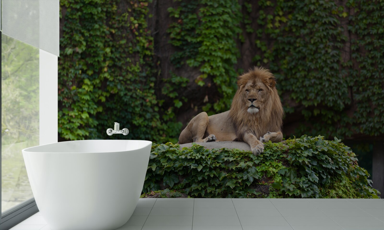 Fototapeta majestatyczny lew odpoczywa na pokrytym mchem kamieniu