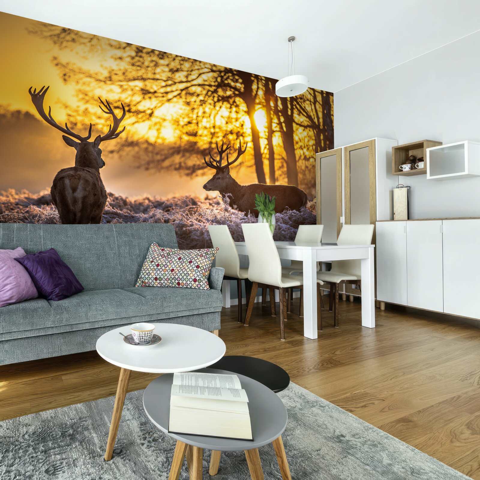 Fototapeta zachodowi słońca towarzyszą dorosłe jelenie