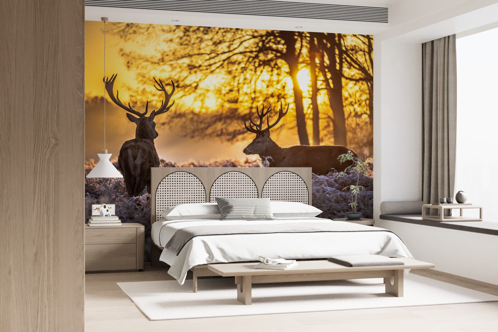 Fototapeta zachodowi słońca towarzyszą dorosłe jelenie