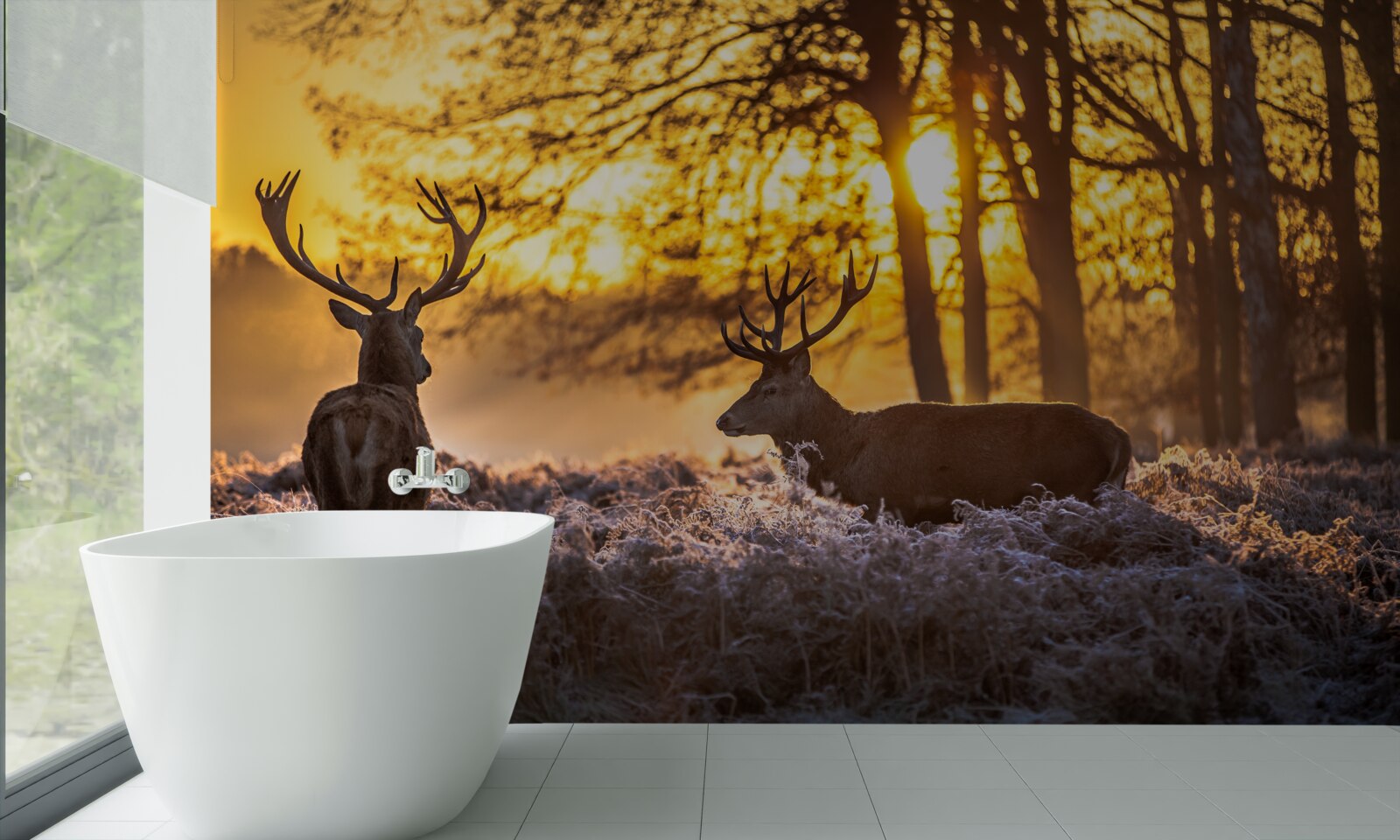 Fototapeta zachodowi słońca towarzyszą dorosłe jelenie
