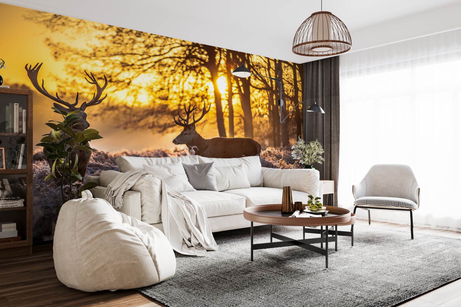 Fototapeta zachodowi słońca towarzyszą dorosłe jelenie