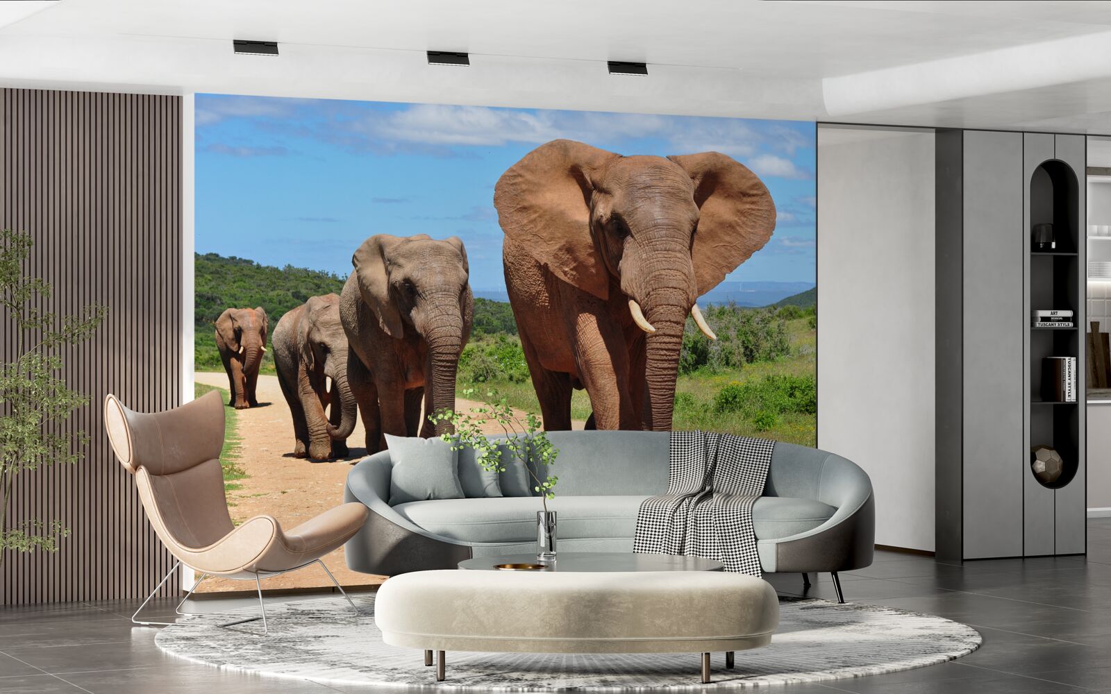 Fototapeta grupa słoni wraca do domu przez piaszczysty teren