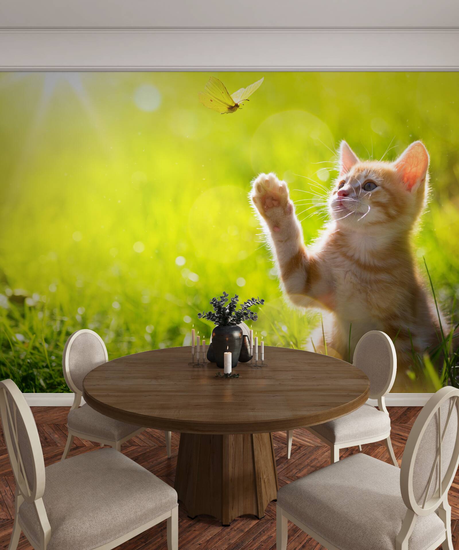 Fototapeta mały kot bawi się z motylem na zielonym polu