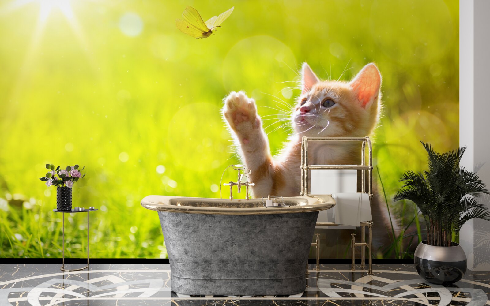 Fototapeta mały kot bawi się z motylem na zielonym polu