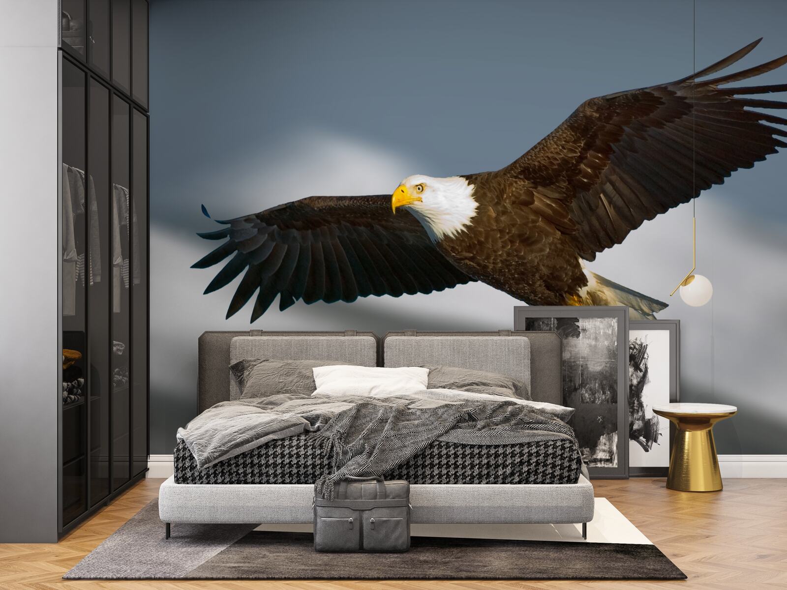 Fototapeta na niebie szybuje orzeł białogłowy