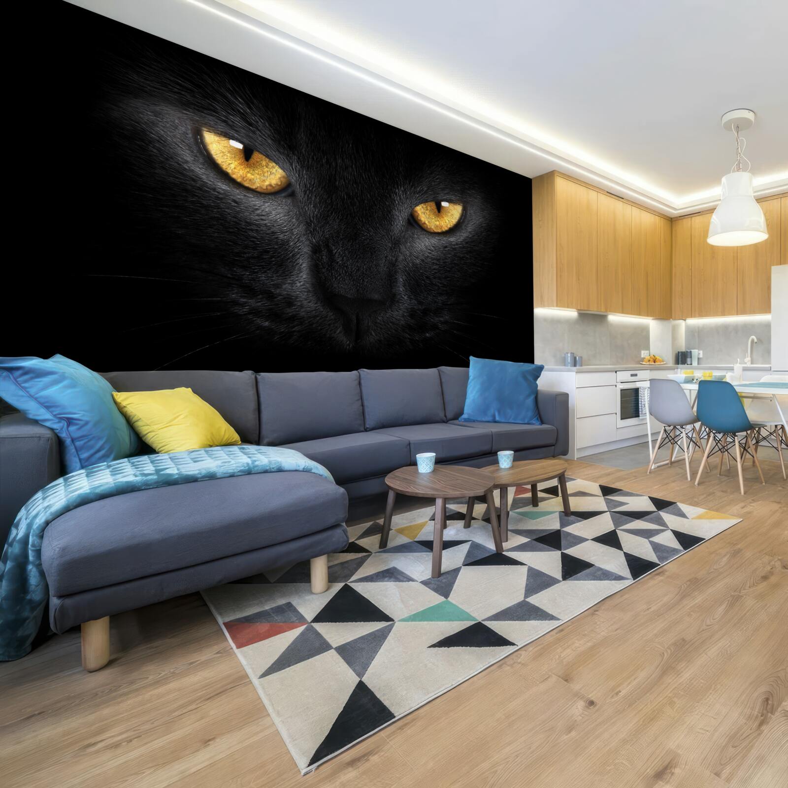 Fototapeta przenikliwe spojrzenie czarnego kota